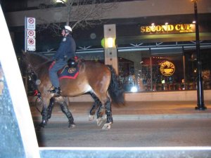 Downtown Toronto after Leafs won the Quarter Finals 58.JPG